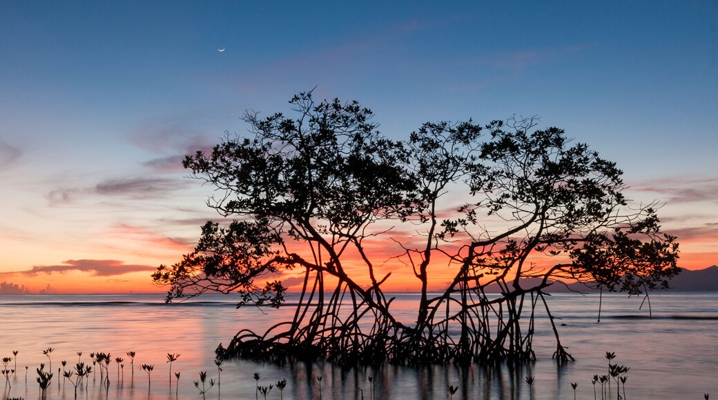 Barrio Independencia