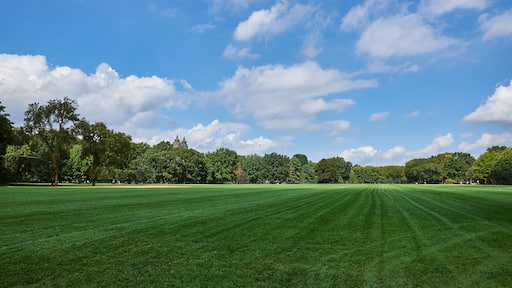 ์ด์คํธ๋ฉ๋์ฐ