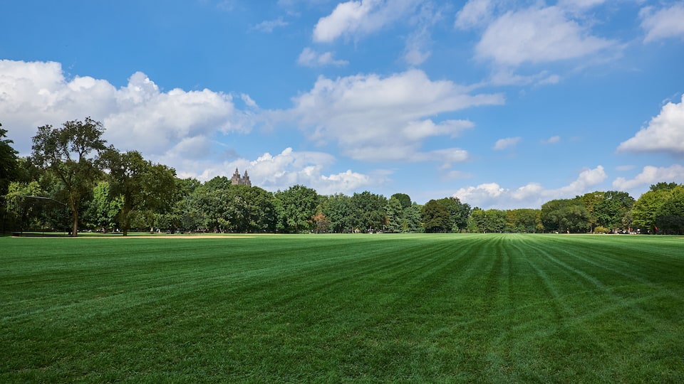 A well-maintained park with a large green lawn, trees, and a clear blue sky with clouds.