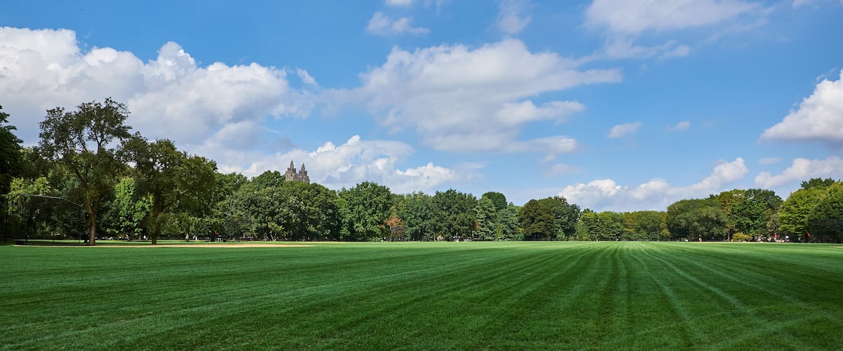 Huge green lawn in Central Park with trees, bushes and the towers of The Eldorado building on 300 Central Park West