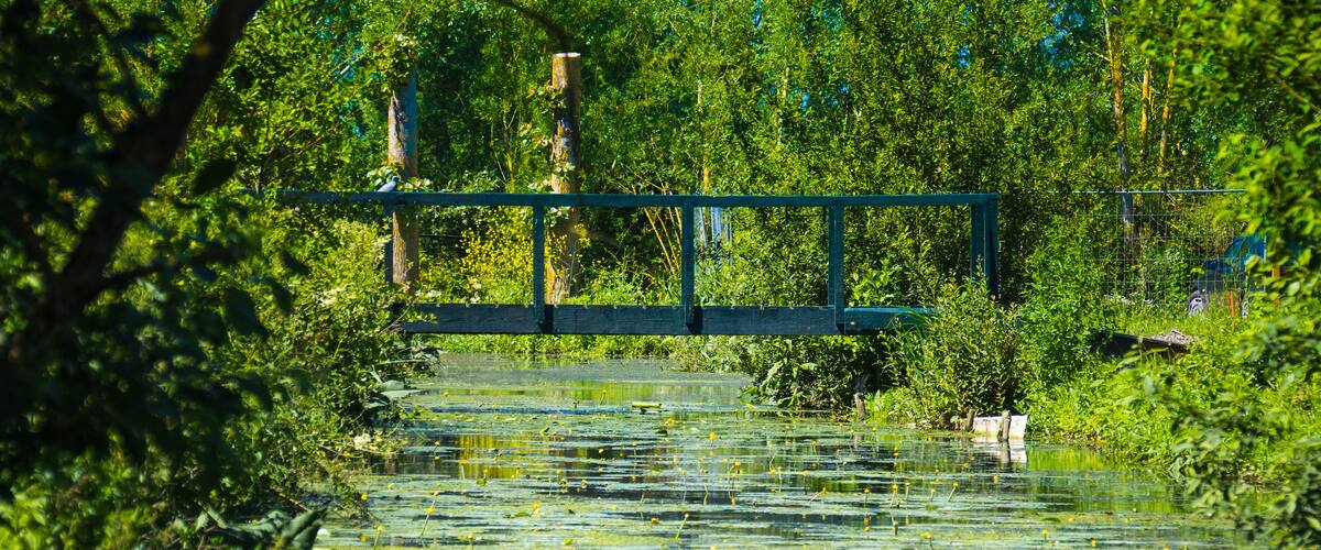 Marais Audomarois dans le Pas de Calais, en France