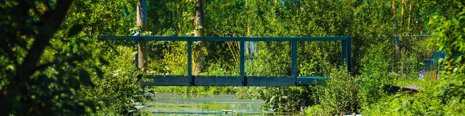 Marais Audomarois dans le Pas de Calais, en France