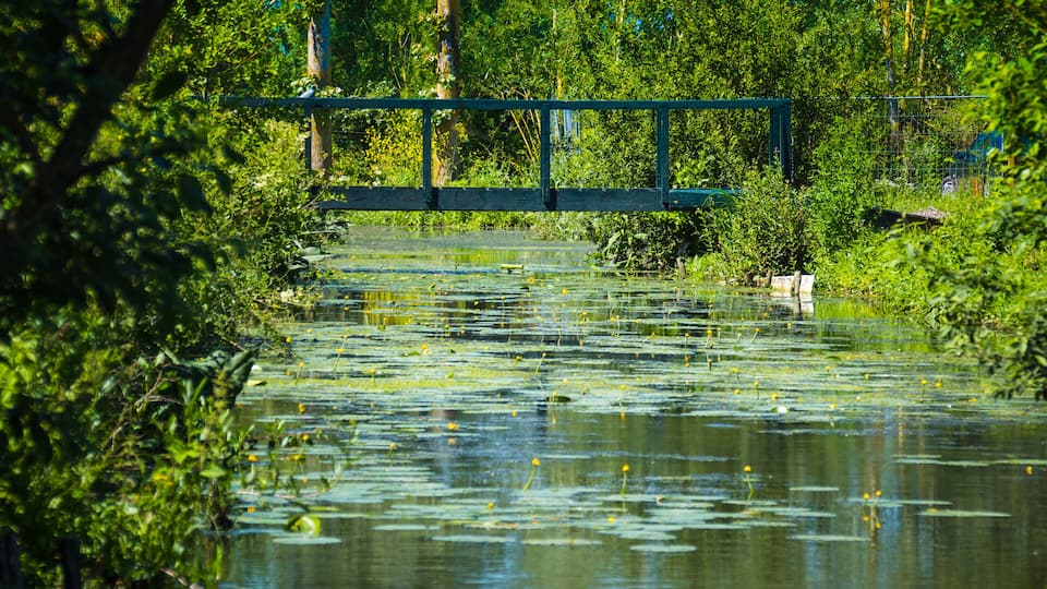 Marais Audomarois dans le Pas de Calais, en France