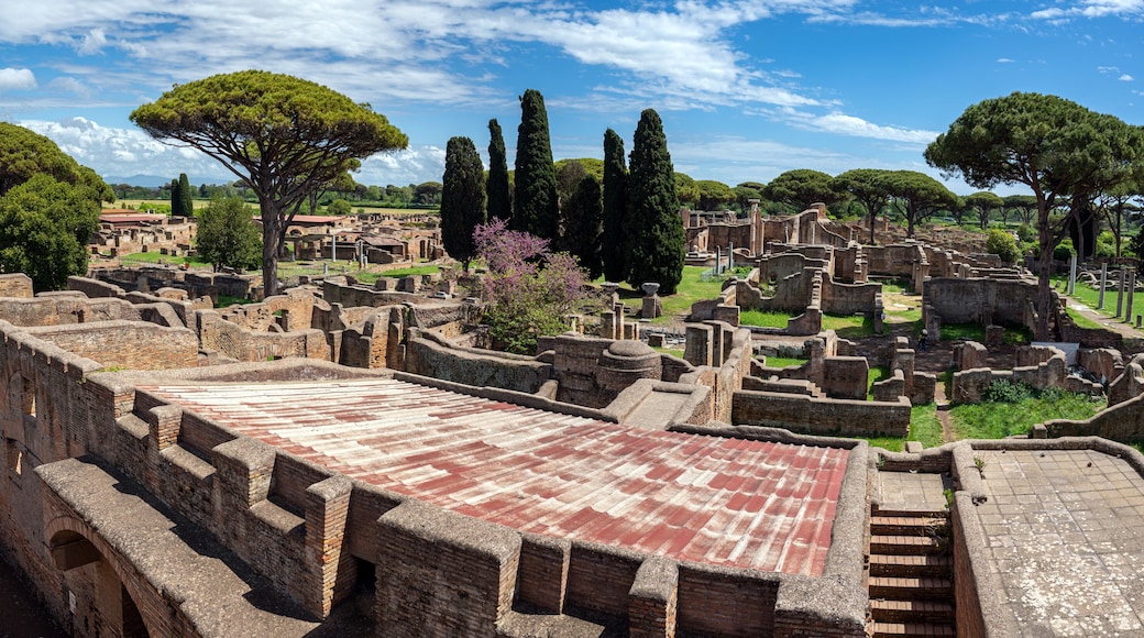 ฟิวมิชิโน เซนโทร