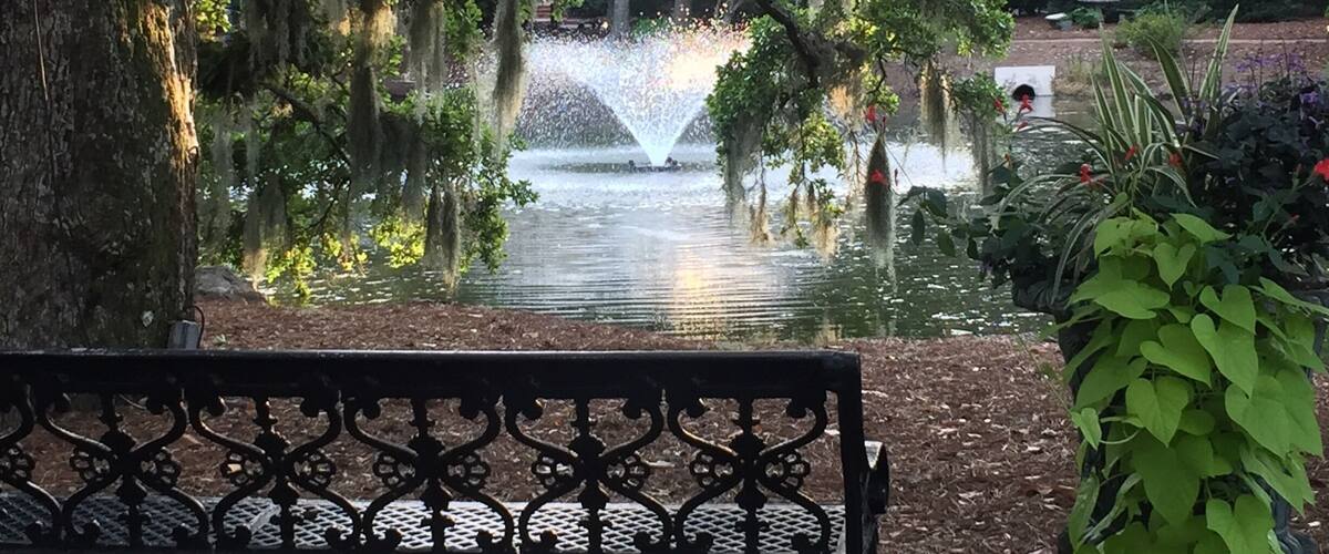 So much beauty here! Love the live oak trees with moss!
#historicplaces #southerncharm #onthebay