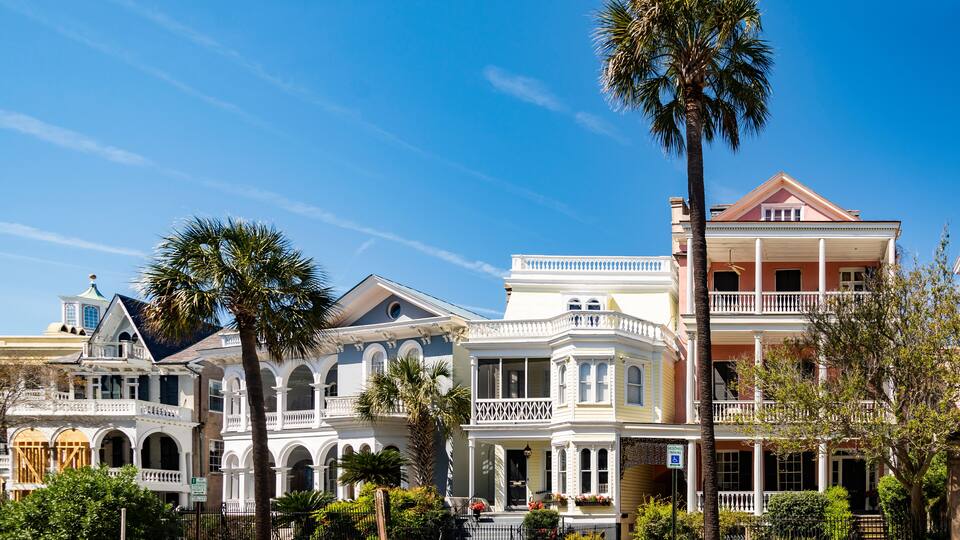 A row of historic houses with balconies and a palm tree in the foreground.
