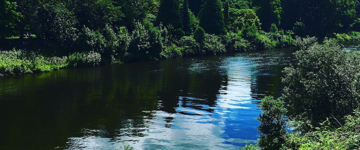 5 minutes of summer
#wales#green