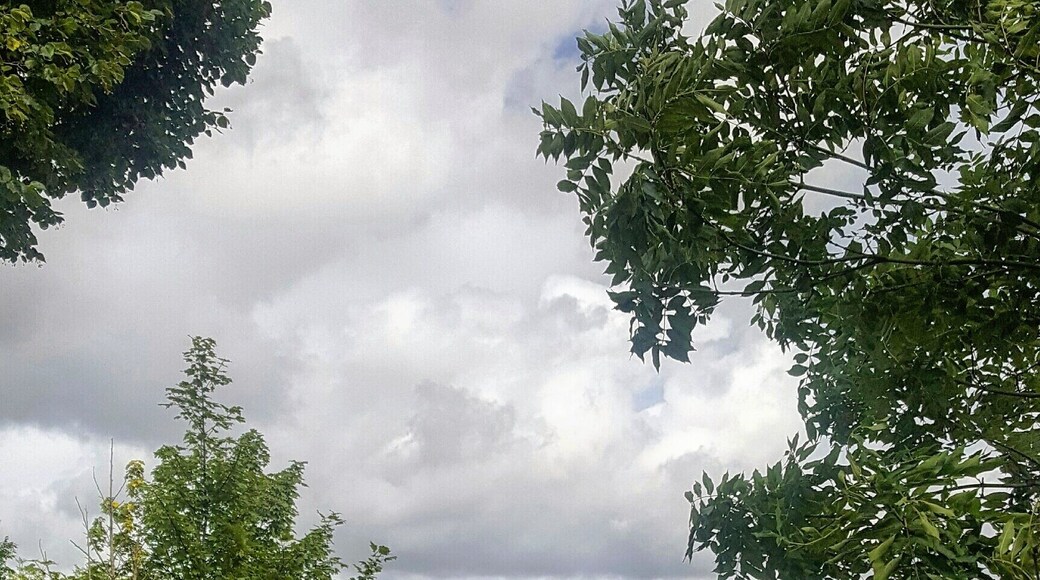 Nice view of stadium