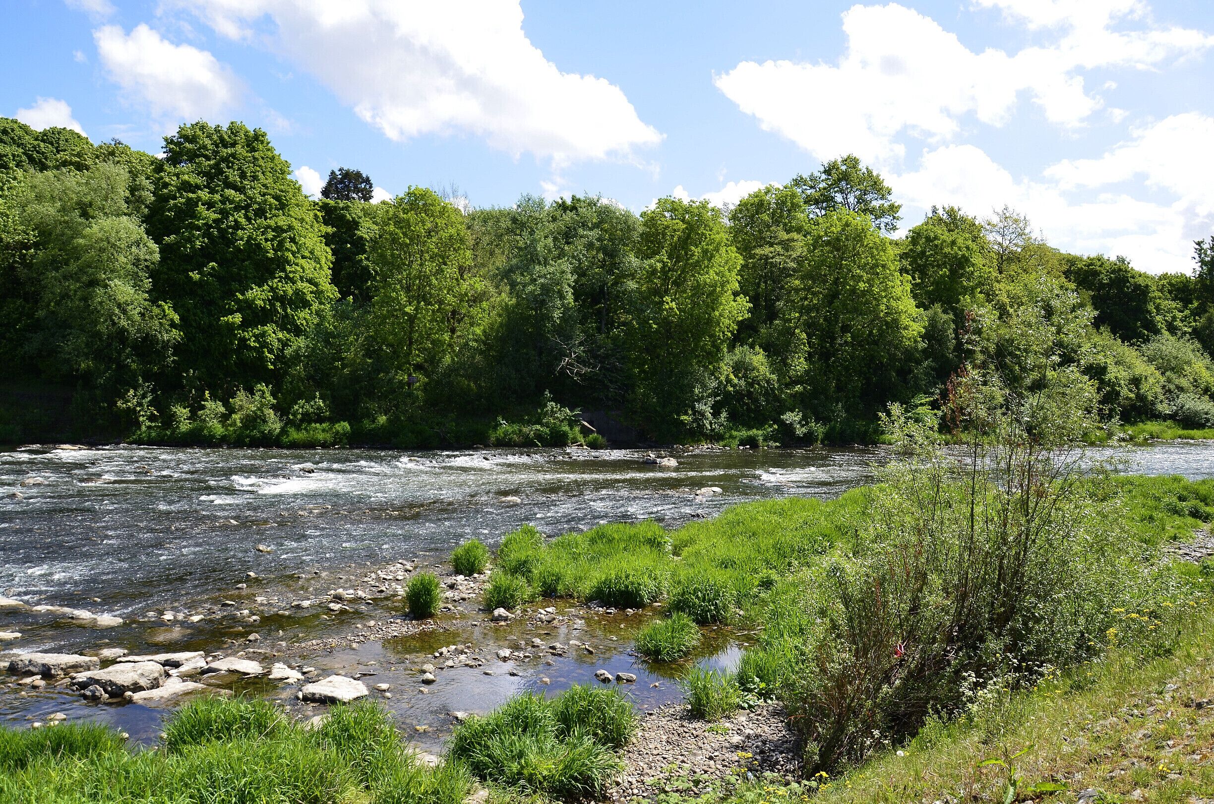 Poncanna Fields, Cardiff.