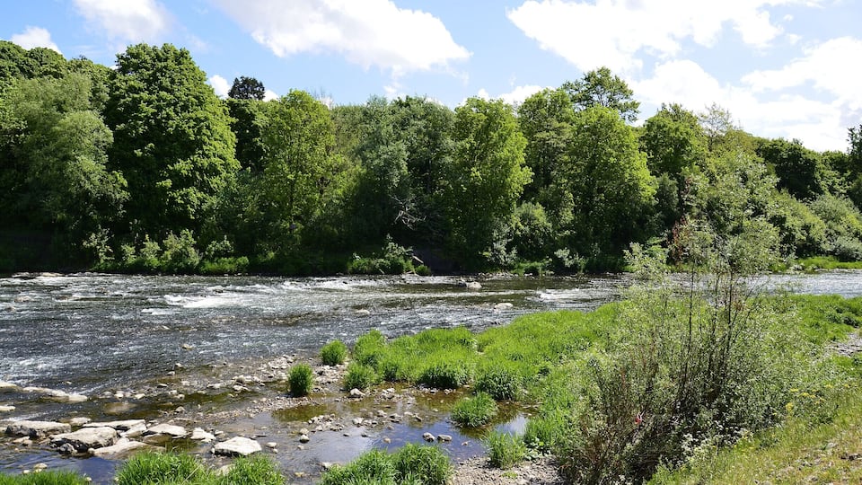 Poncanna Fields, Cardiff.
