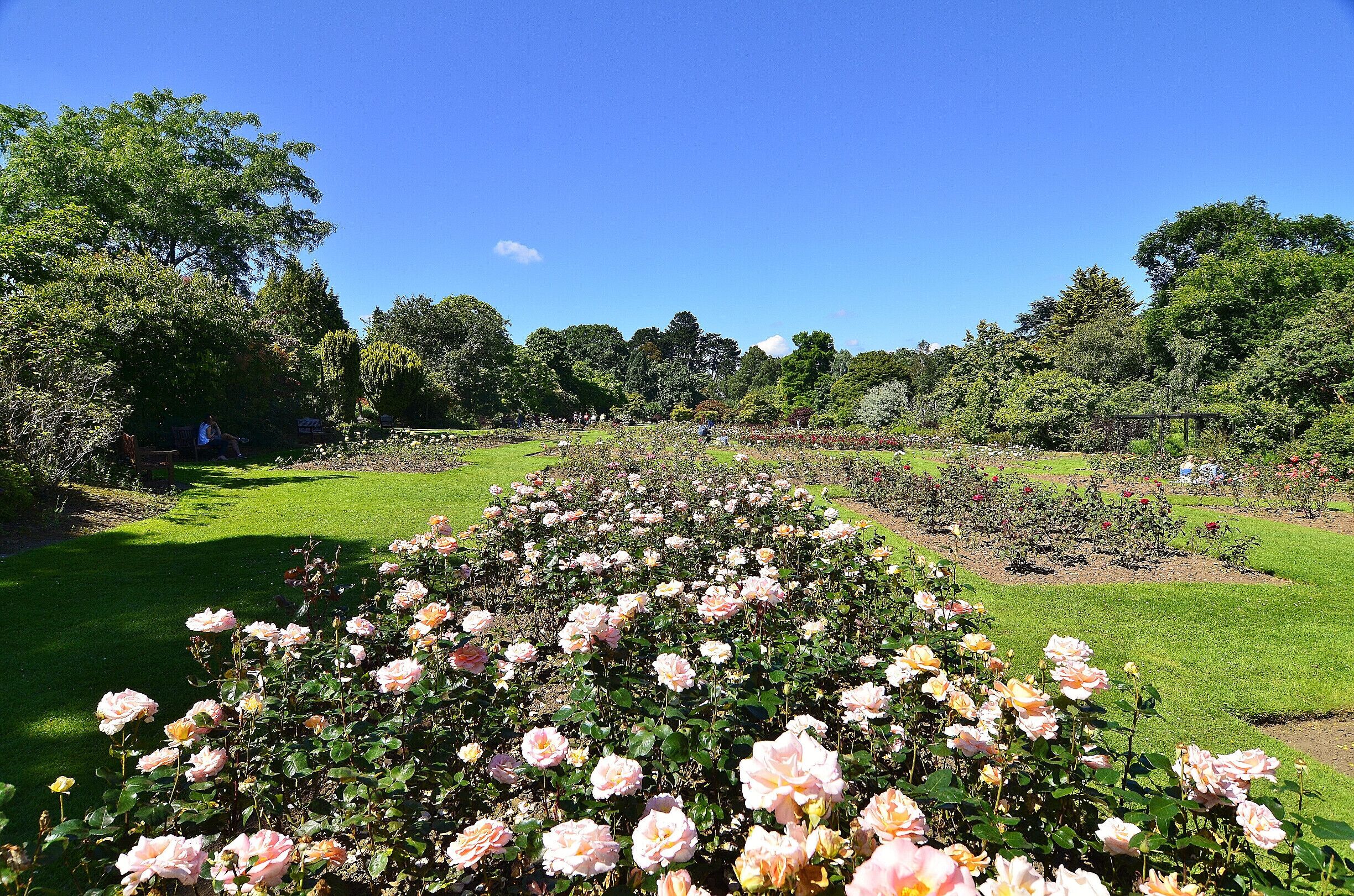 Roath Park, Cardiff. UK