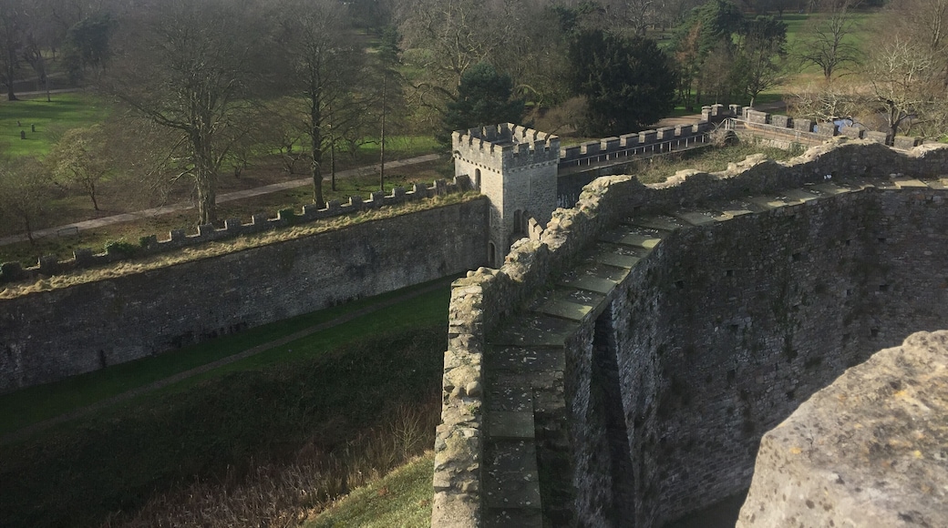 View from the very top of Cardiff Castle. March 2017