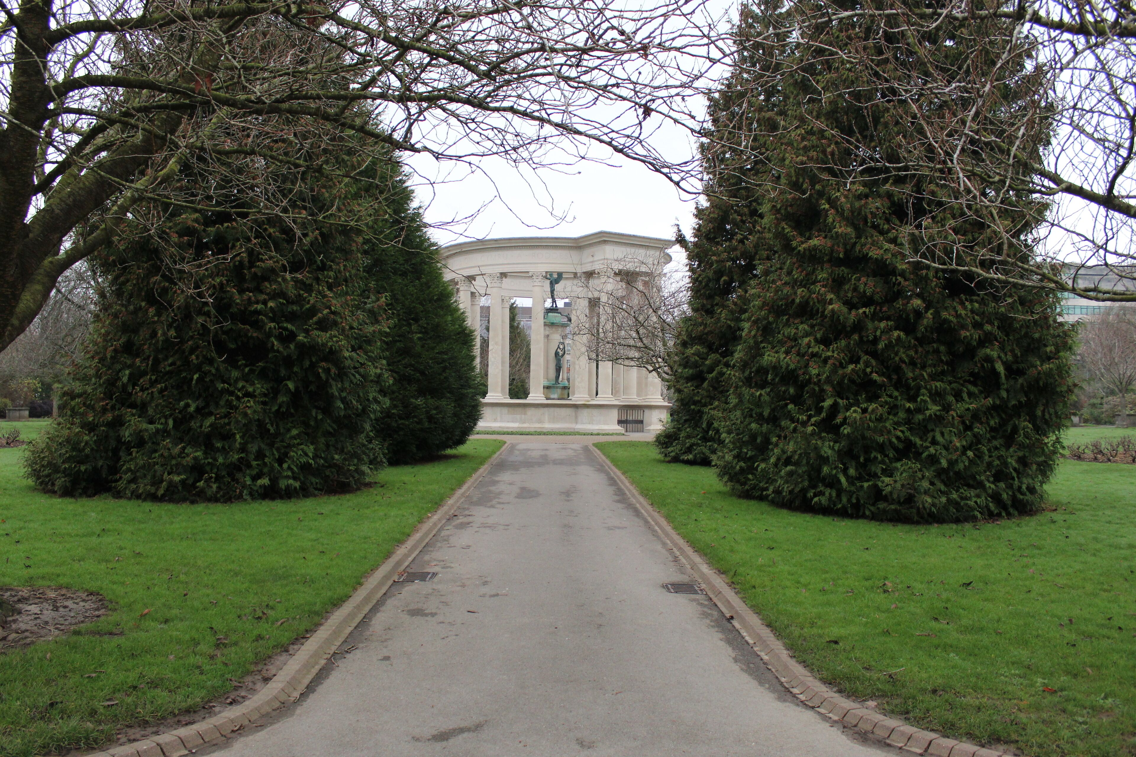 Great shots through trees