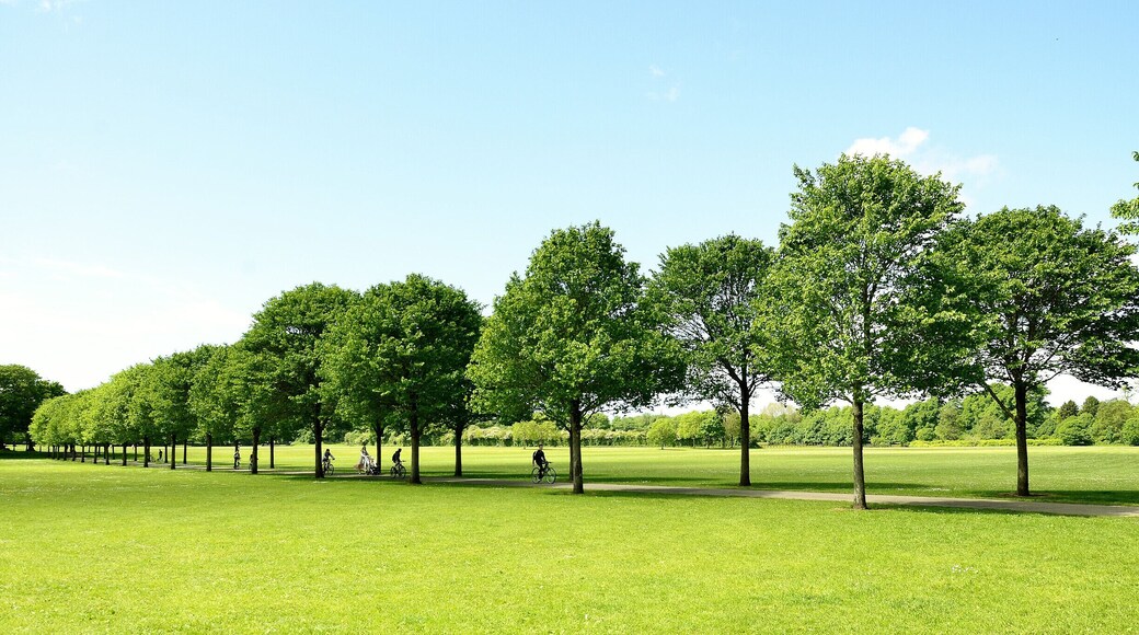 Pontcanna Fields. Cardiff