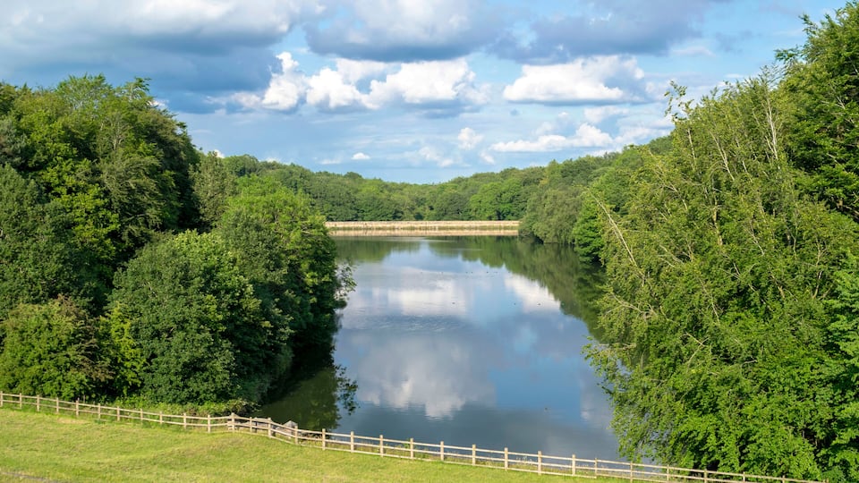 A calm river flanked by dense greenery and a wooden fence.