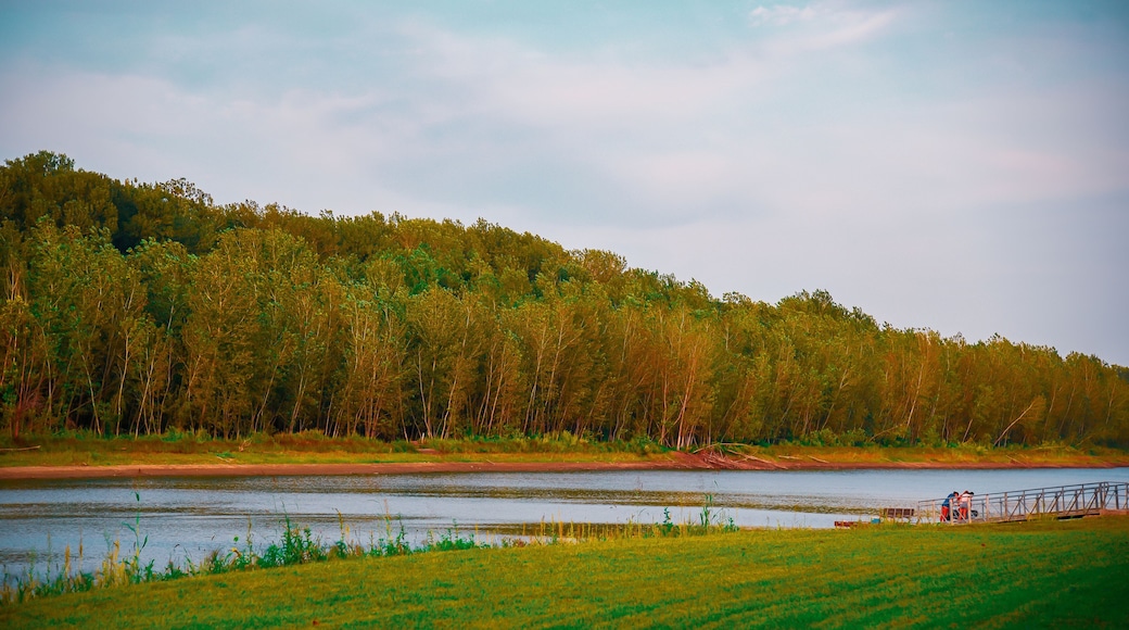autumn landscape with lake Chesterfield Missouri