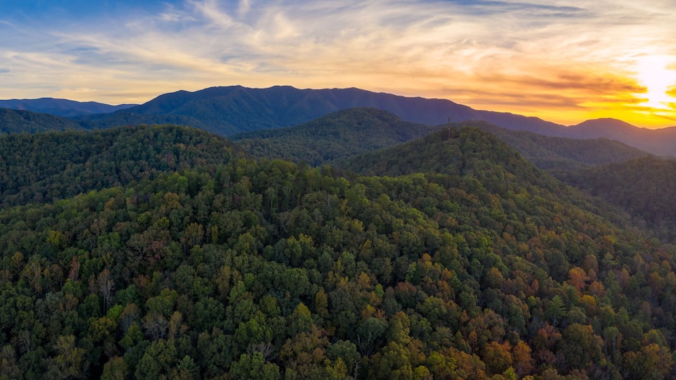 A forested mountain range at sunset.