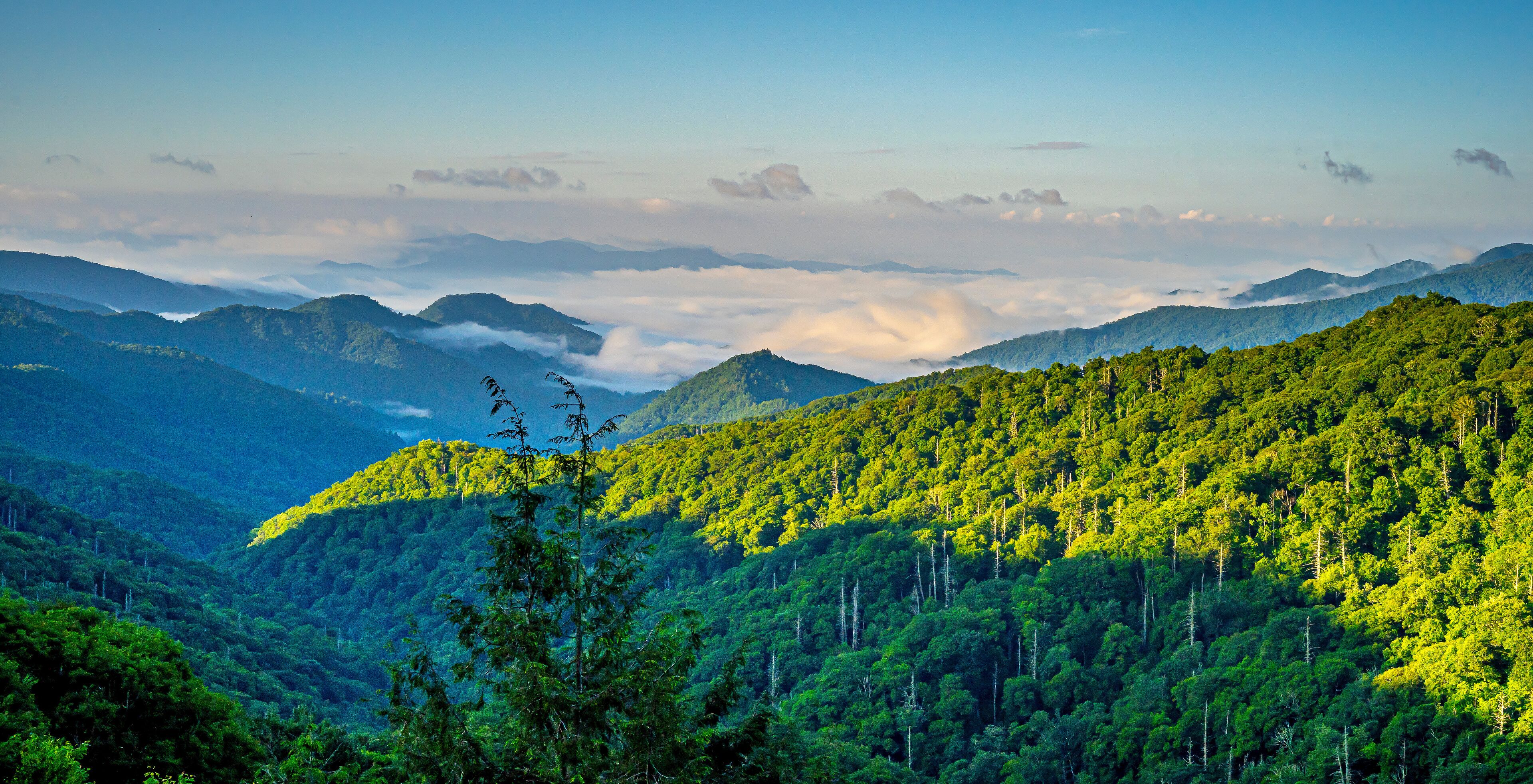 Great Smoky Mountains National Park