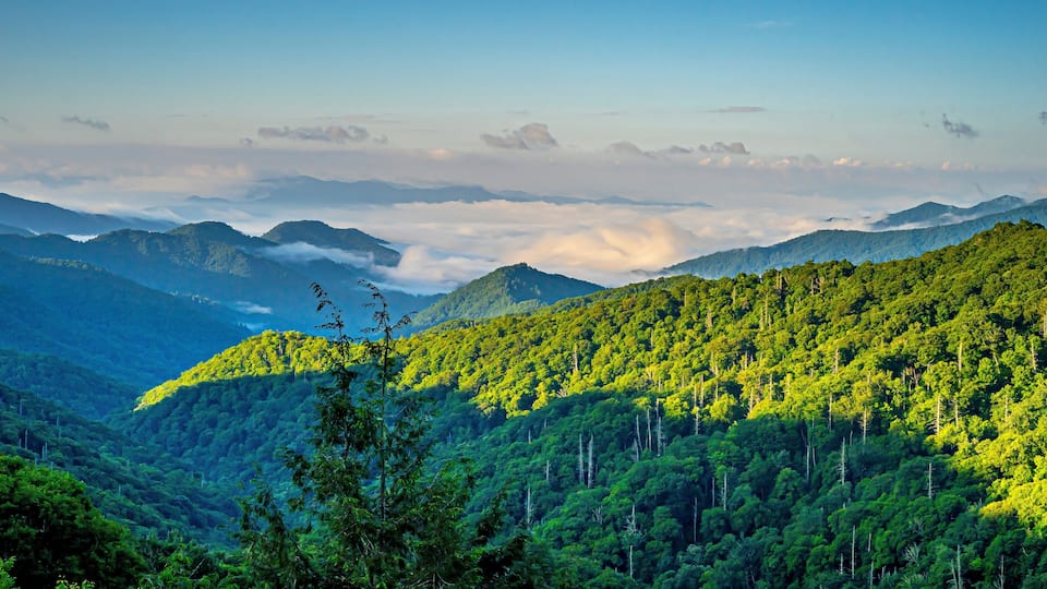 A mountainous landscape with dense green forests and a valley with mist-covered peaks.