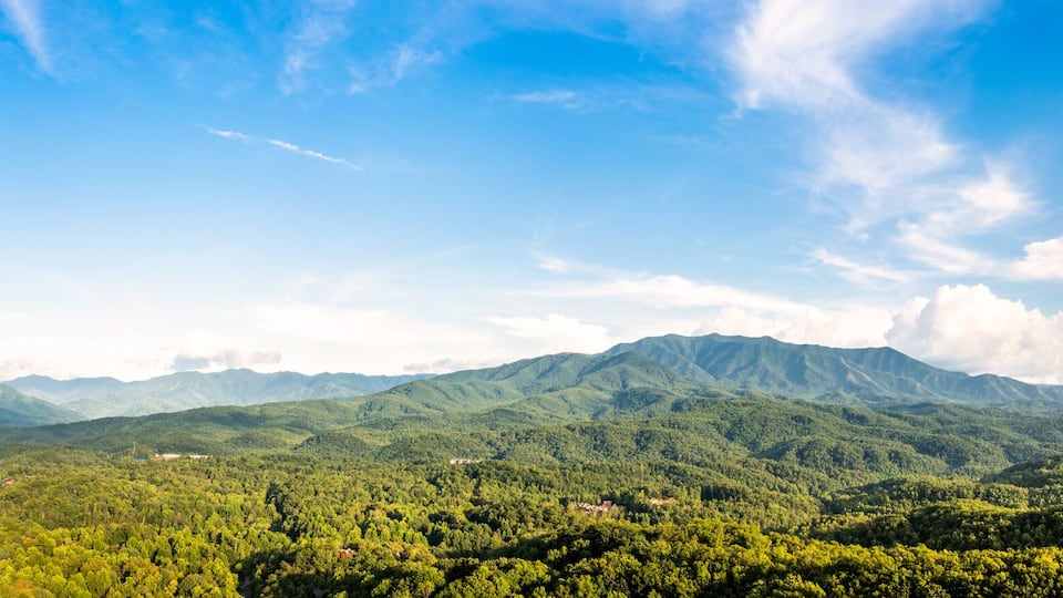 A mountainous landscape with dense forests and a clear blue sky.