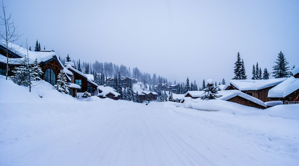 ศูนย์กลางหมู่บ้าน