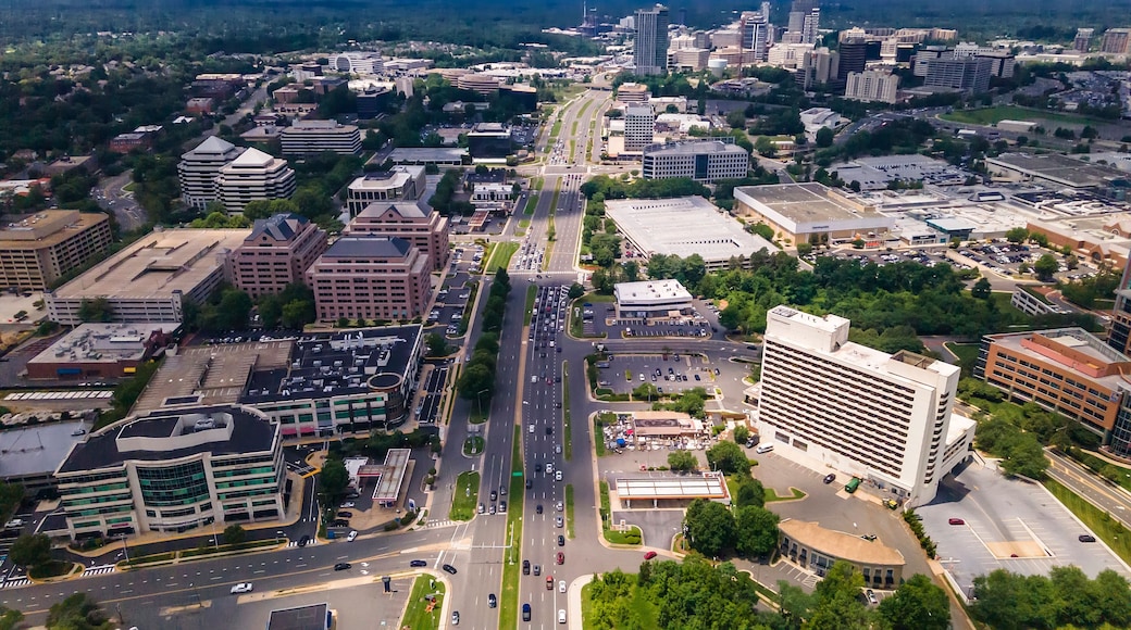 Modern City Life in Tysons Virginia Busy streets, office complexes, and suburban sprawl.