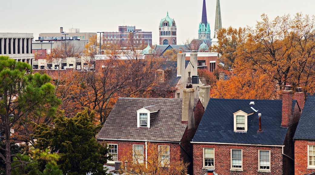 Downtown of Portsmouth