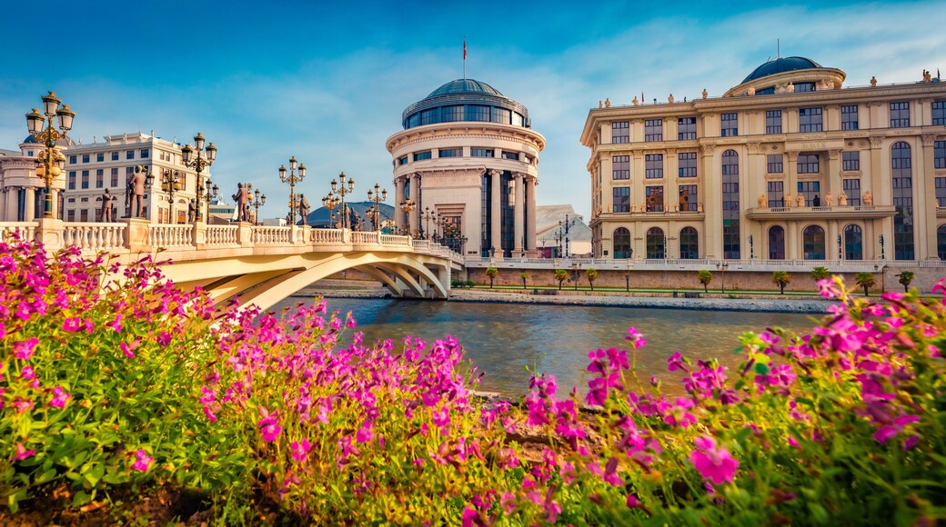 ๋ฐ๋ฐ๋ฅด ๋ง์๋ก