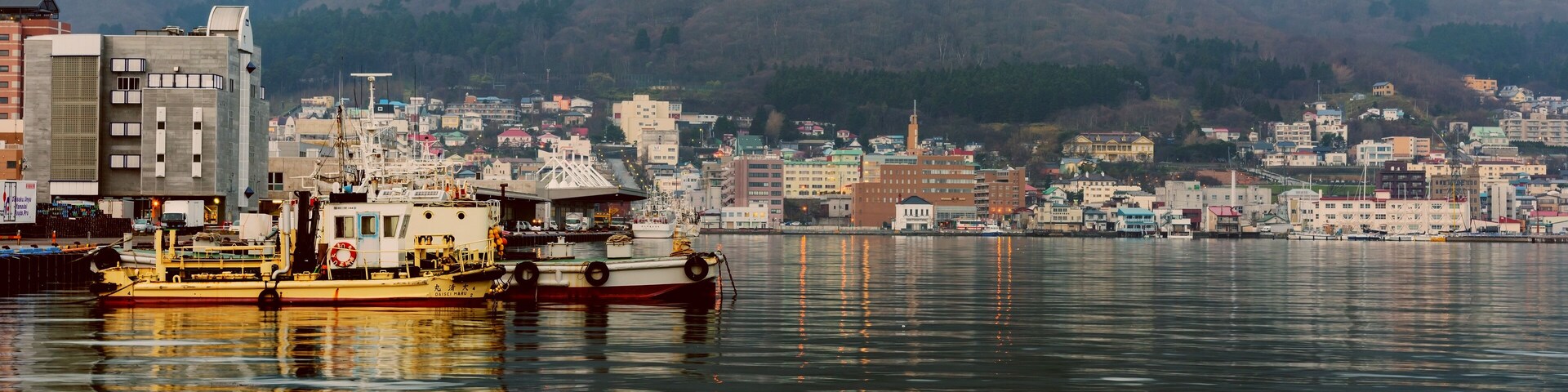 Ein Hafen mit Booten, Gebäuden und einem Berg im Hintergrund.