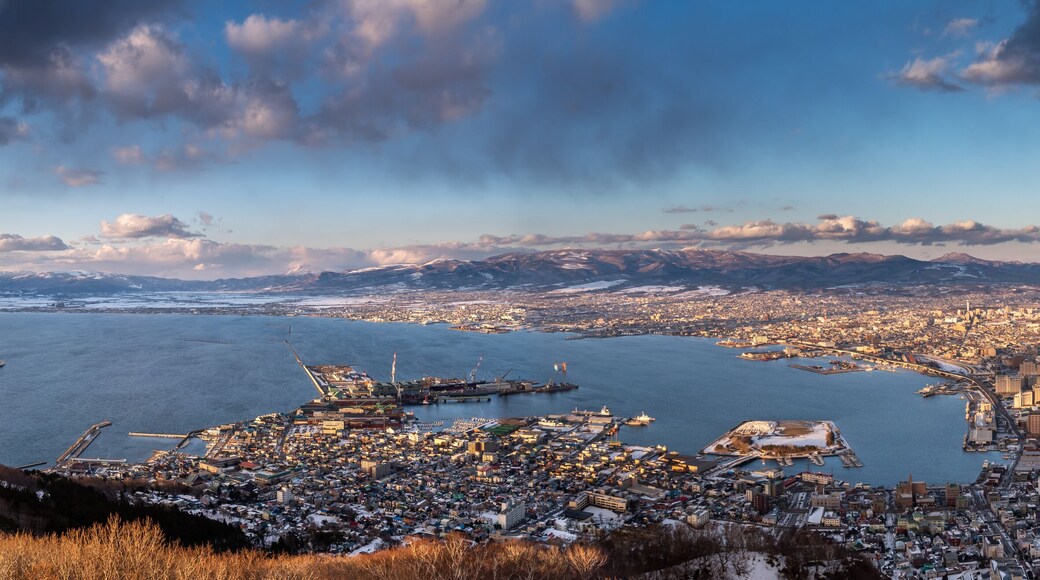 view of Hakodateyama in Hokkaido Japan