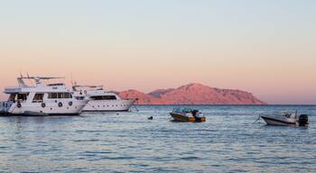 Sunset at Sharks Bay, Red Sea and motor yachts, Sharm el Sheikh, Egypt