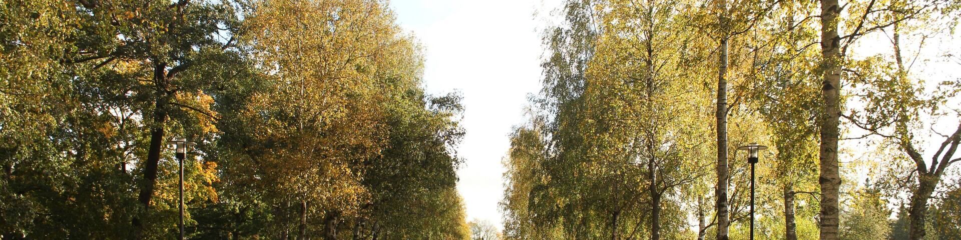 Autumn in Kupittaa Park located in the city of Turku in Finland.