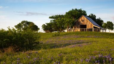 Wood Barn on the Bluebonnet Trail Near Ennis , Texas