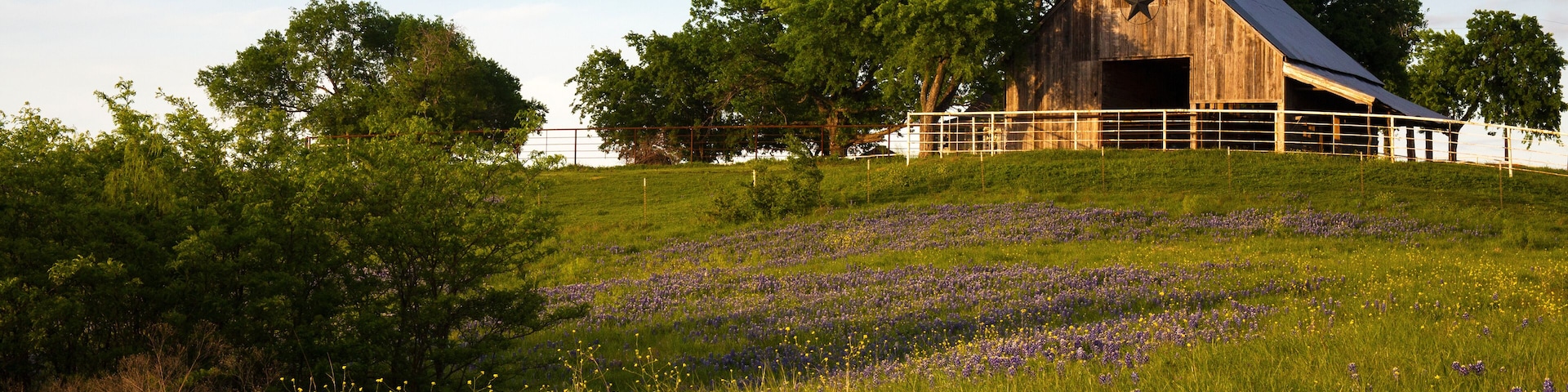 Wood Barn on the Bluebonnet Trail Near Ennis , Texas