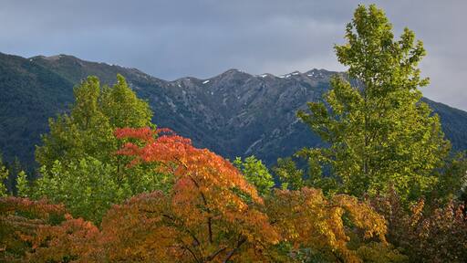 Hanmer Springs showing mountains