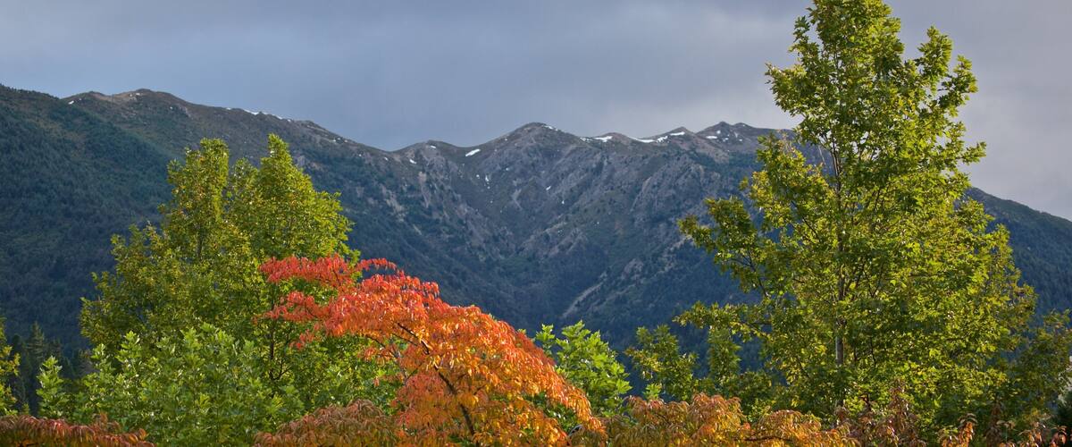 A mountain range with autumn foliage in the foreground.