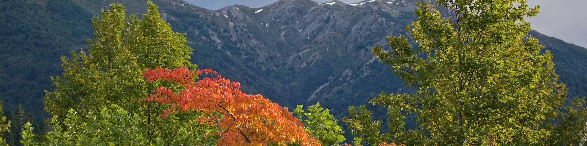 A mountain range with autumn foliage in the foreground.