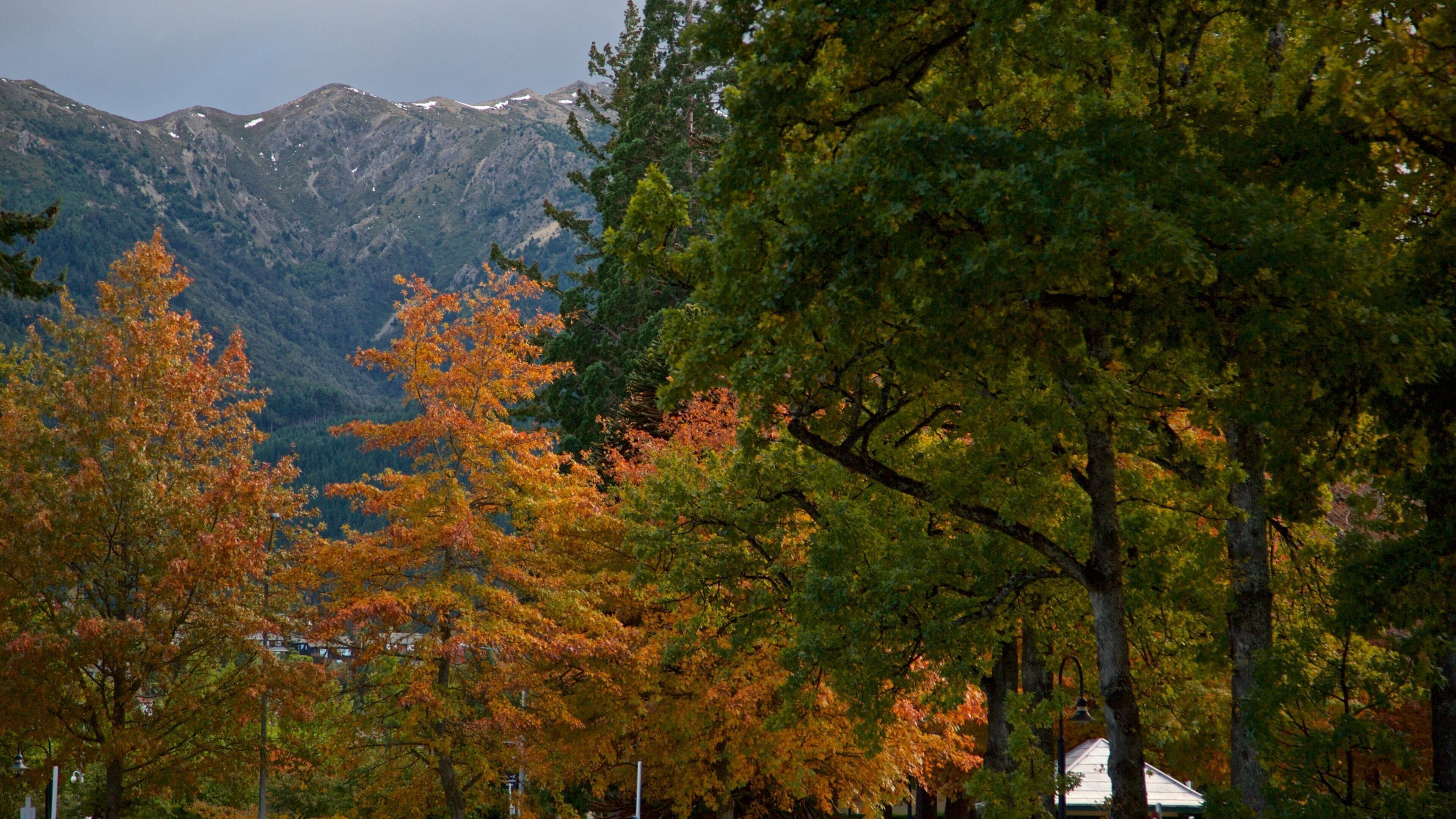 Hanmer Springs which includes a garden