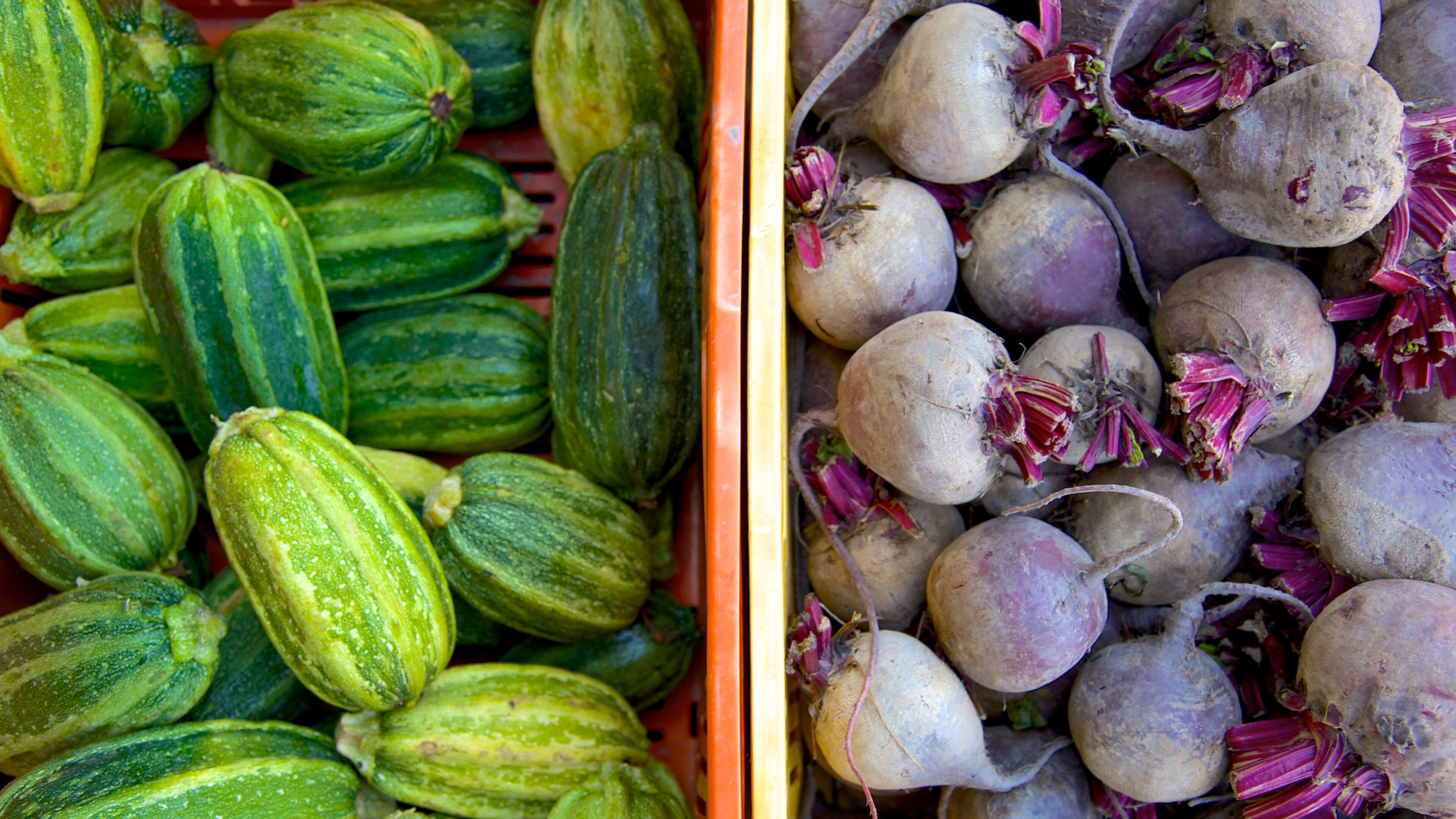 Hastings which includes markets and food