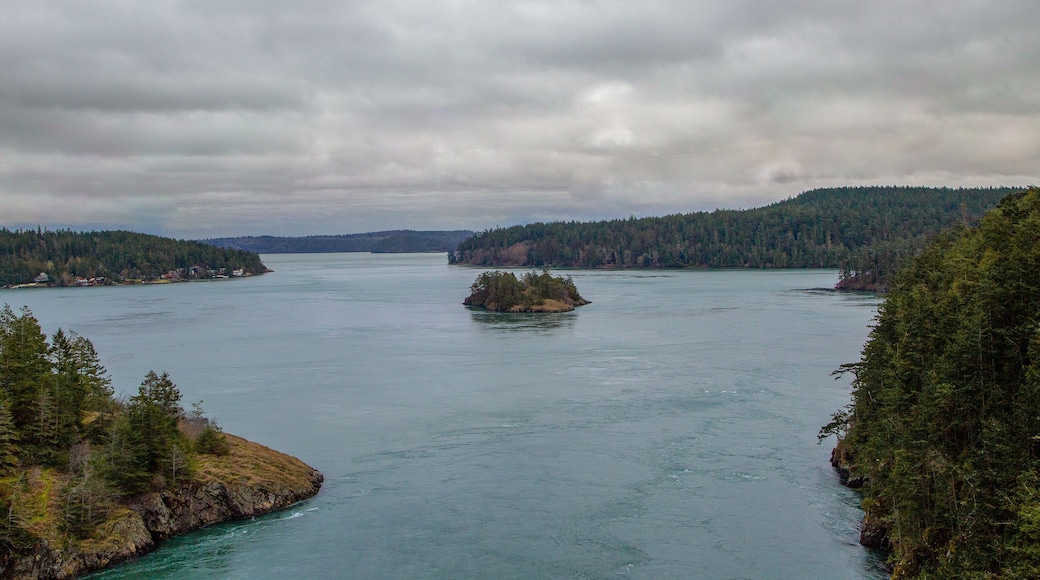 Calm bay framed by evergreen hills with small island in center