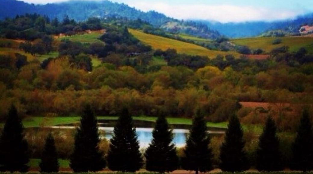 Great views. Great wine. Call ahead for a tasting. #russianrivervalley
