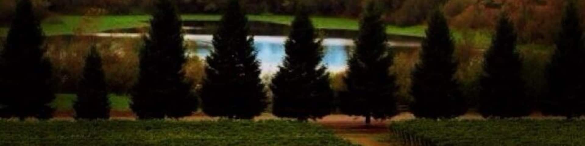 Great views. Great wine. Call ahead for a tasting. #russianrivervalley