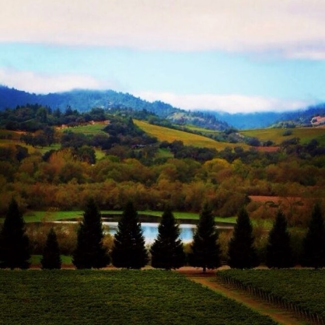 Great views. Great wine. Call ahead for a tasting. #russianrivervalley