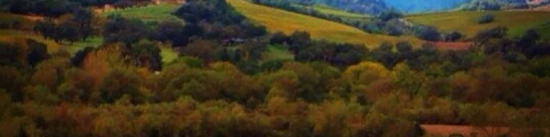 Great views. Great wine. Call ahead for a tasting. #russianrivervalley