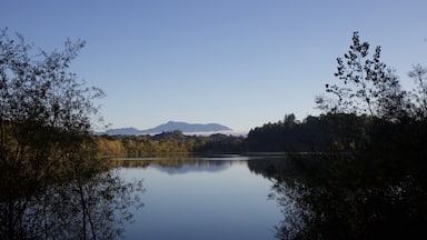 Riverfront Regional Park - two beautiful lakes for fishing, kayaking, canoeing and stand-up paddling. A trail loops around the larger lake, Lake Benoist, with beach on the Russian River, redwood.