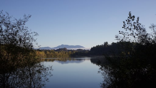 Riverfront Regional Park - two beautiful lakes for fishing, kayaking, canoeing and stand-up paddling. A trail loops around the larger lake, Lake Benoist, with beach on the Russian River, redwood.