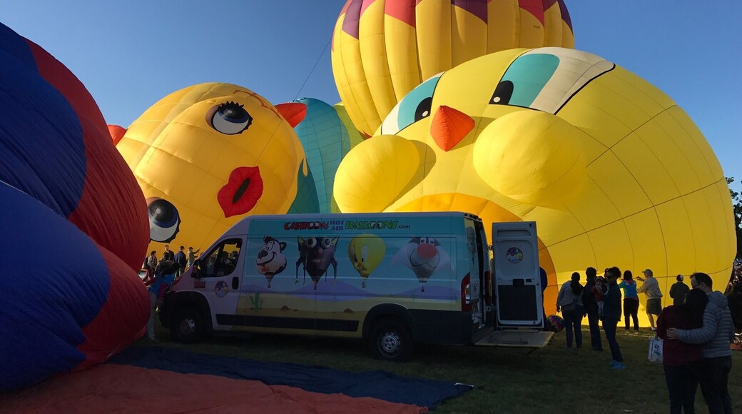 Annual Sonoma Hot Air Balloon Classic (Windsor, CA)