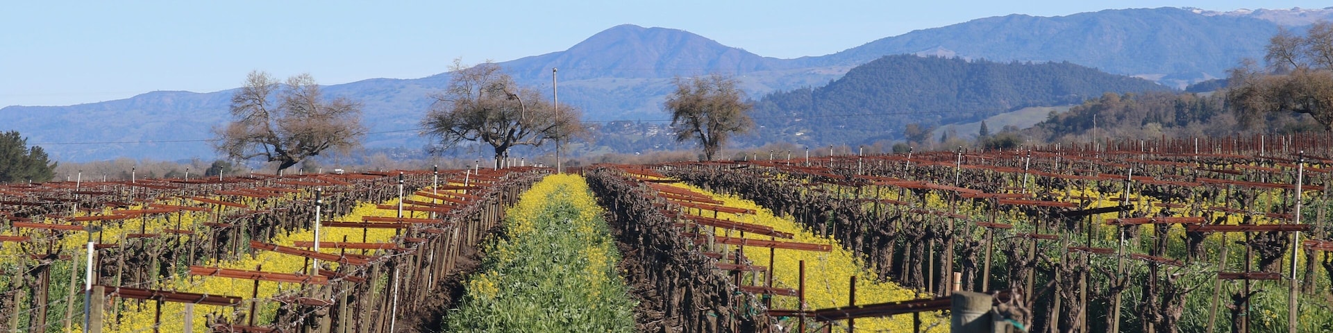 Riverfront Regional Park - Located along the Russian River, Riverfront Regional Park is just minutes from downtown Windsor and Healdsburg and surrounded by classic Wine Country scenery. Spring.