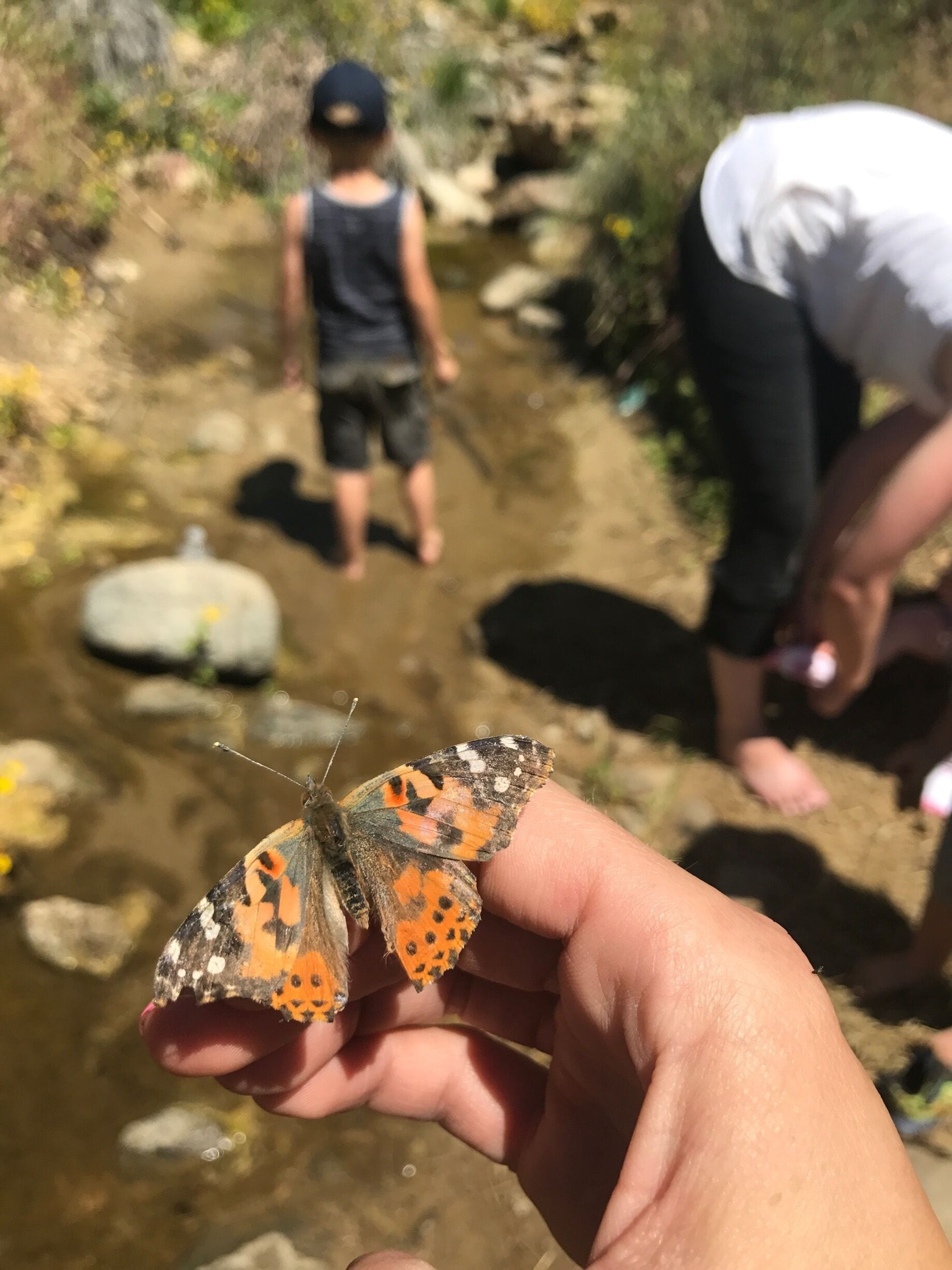 Wild flower picking, tadpole catching, butterfly kissing kind of day. Loving the creatures of spring!