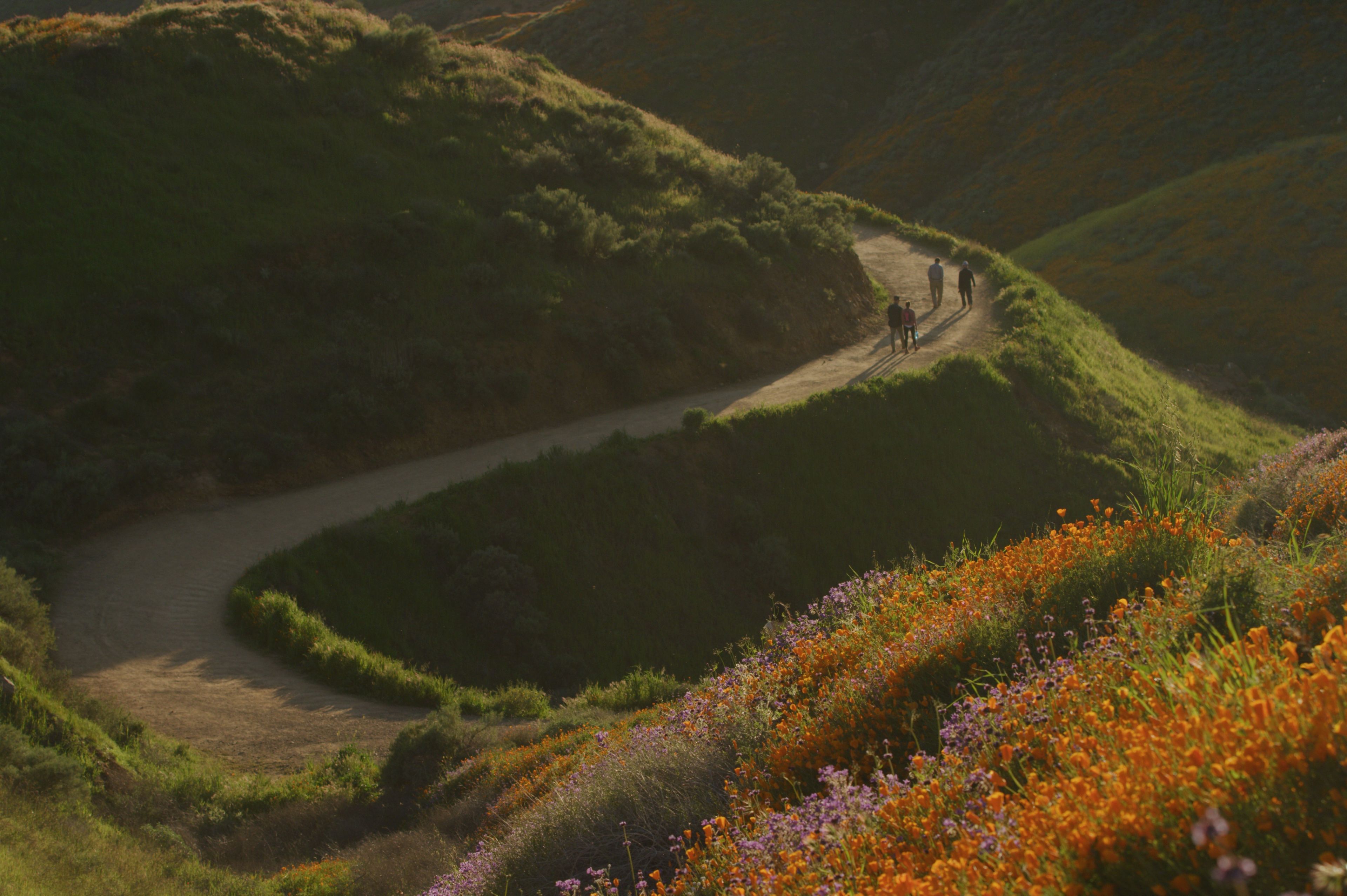 A winding dirt road through a hilly landscape with people walking along it.
